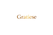 Translation missing: ja.GRATIESE accessibility.home